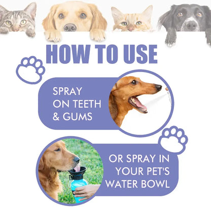 🔥Hot Sales 50% OFF🔥🔥 Pet Dental Care Spray – Fresh Breath & Easy Oral Care for Dogs & Cats 🐶🐱-CU