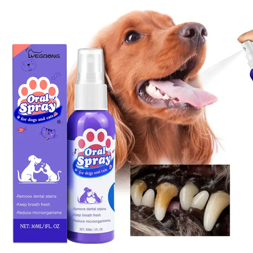 🔥Hot Sales 50% OFF🔥🔥 Pet Dental Care Spray – Fresh Breath & Easy Oral Care for Dogs & Cats 🐶🐱-CU