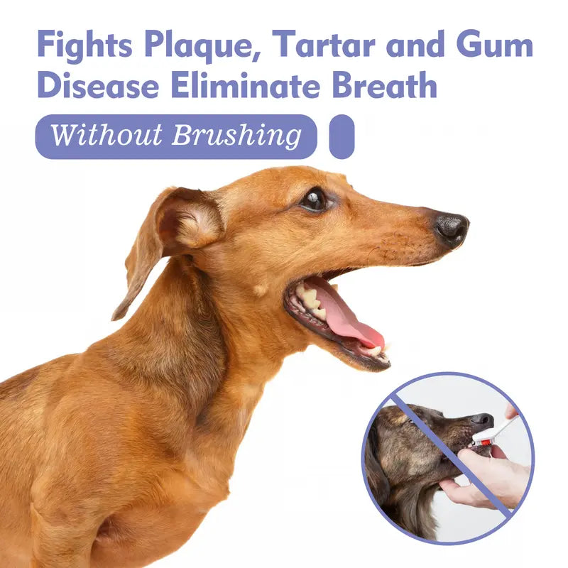 🔥Hot Sales 50% OFF🔥🔥 Pet Dental Care Spray – Fresh Breath & Easy Oral Care for Dogs & Cats 🐶🐱-CU