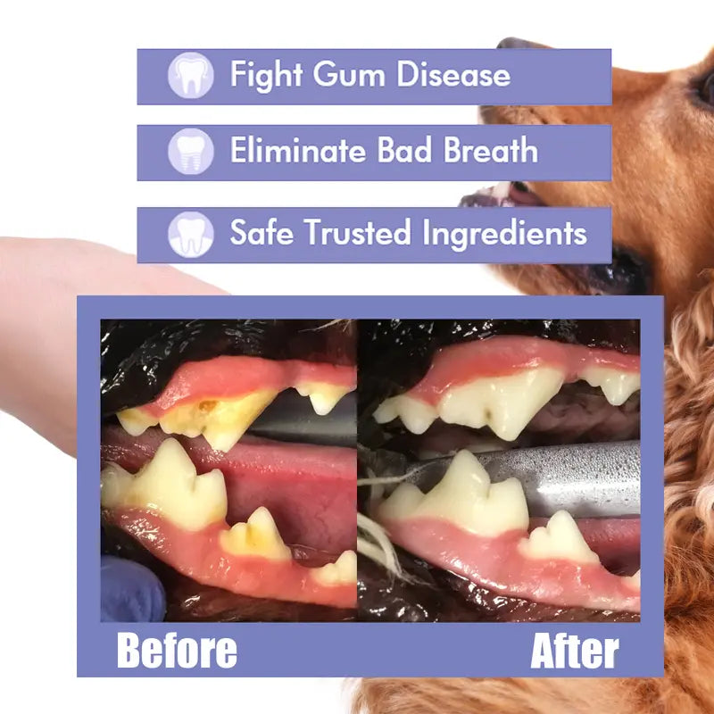 🔥Hot Sales 50% OFF🔥🔥 Pet Dental Care Spray – Fresh Breath & Easy Oral Care for Dogs & Cats 🐶🐱-CU