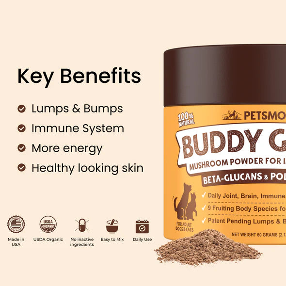 Get Your Petsmont Buddy Guard Today