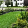 🔥Last Day Promotion 49% OFF🔥🌱2026 Evergreen Dwarf Grass Seed for Four Seasons