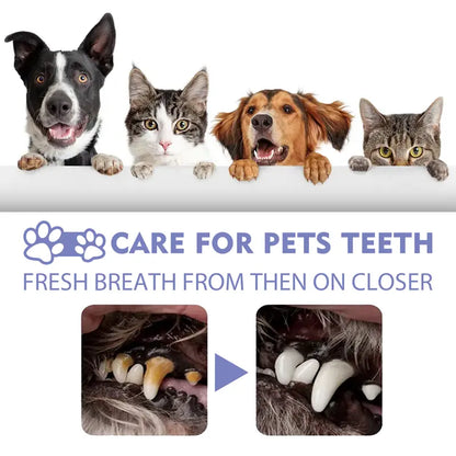 🔥Hot Sales 50% OFF🔥🔥 Pet Dental Care Spray – Fresh Breath & Easy Oral Care for Dogs & Cats 🐶🐱-CU